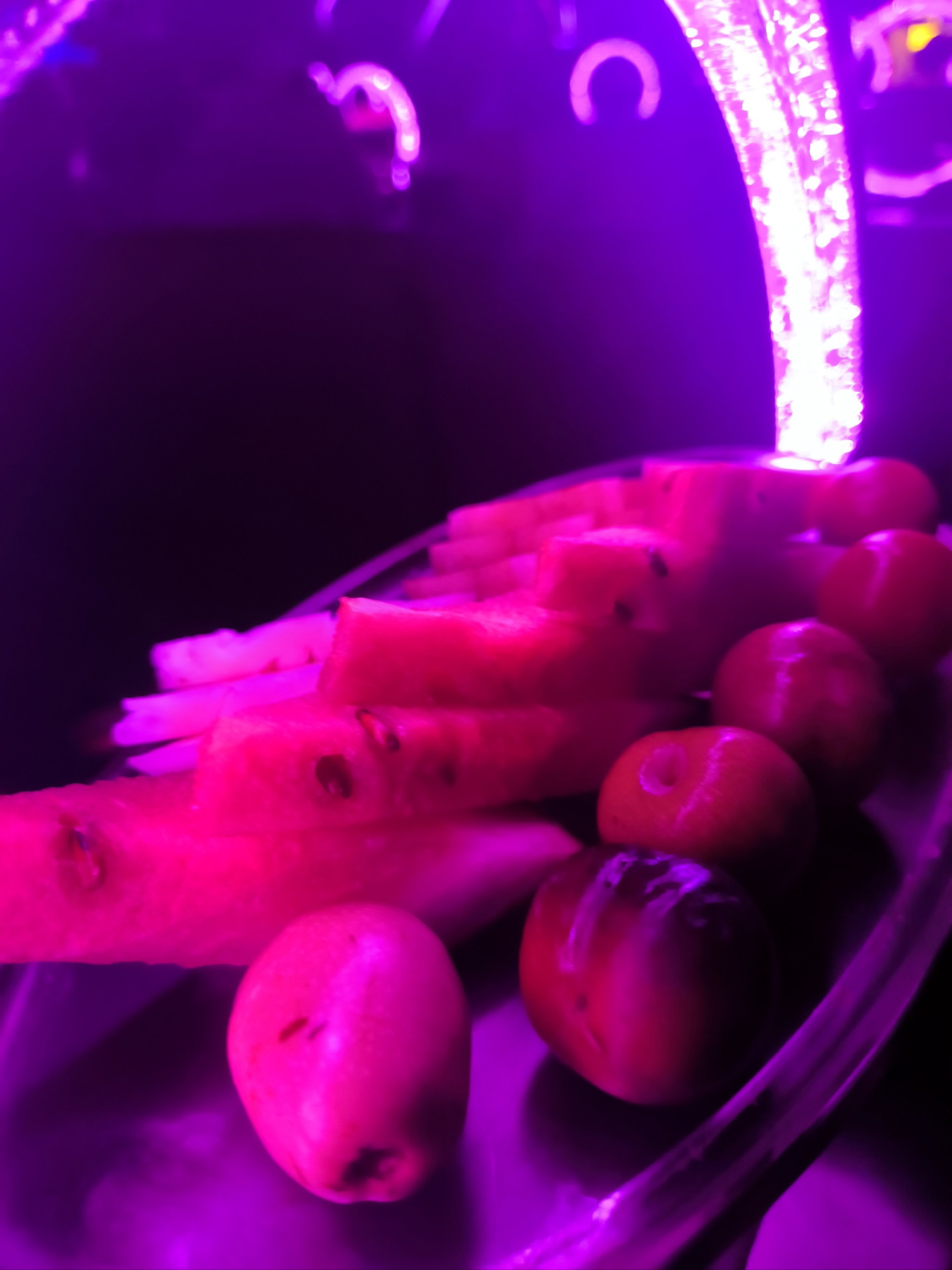 营口商务ktv新玩法-西市区ktv预订